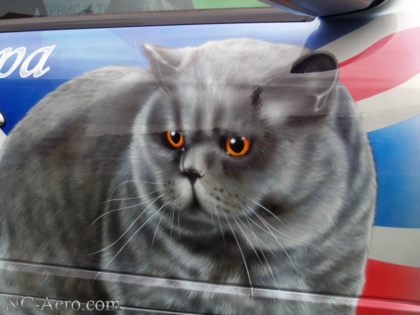 Аэрография на авто Mercedes фото – Британские Кошки