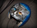 Аэрография на детском горнолыжном шлеме «Котик»